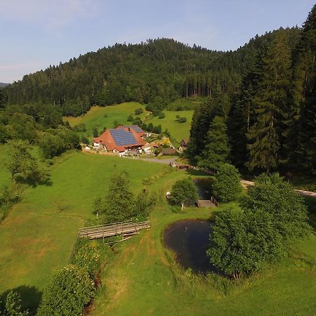 Apartmán Muellerjoergenhof Gutach Exteriér fotografie
