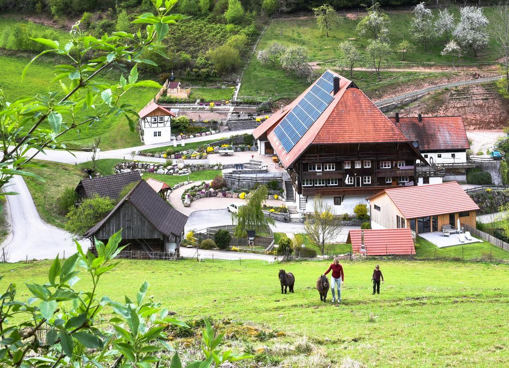 Apartmán Muellerjoergenhof Gutach Exteriér fotografie
