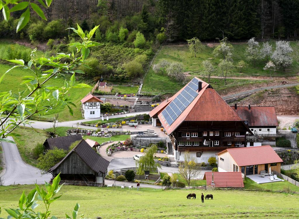 Apartmán Muellerjoergenhof Gutach Exteriér fotografie